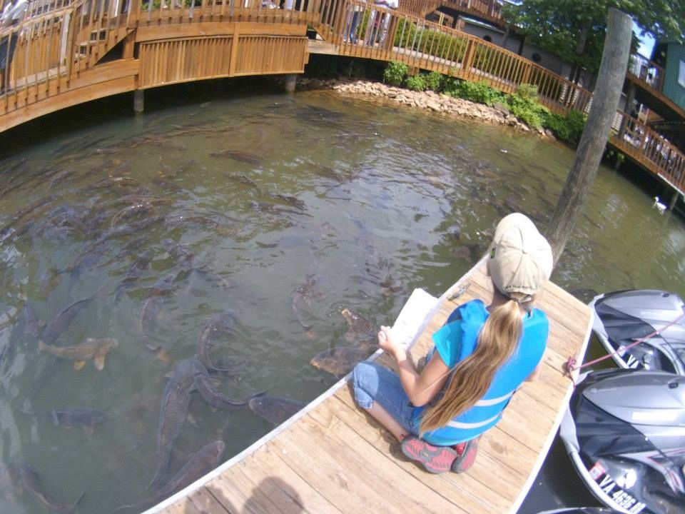 b2ap3_thumbnail_Feed-the-carp.jpg